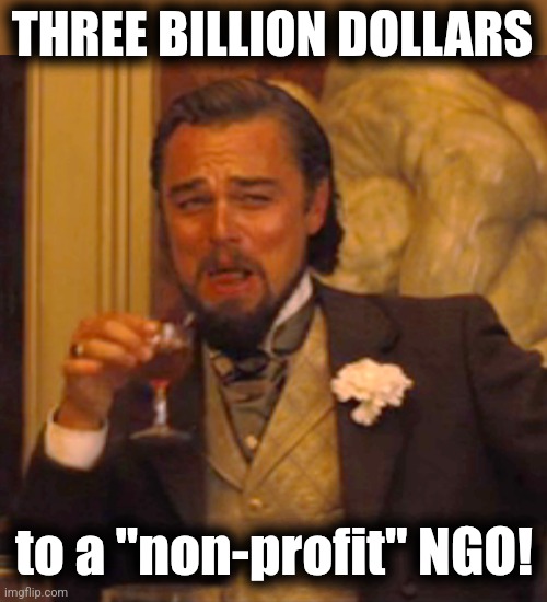 Laughing Leo Meme | THREE BILLION DOLLARS to a "non-profit" NGO! | image tagged in memes,laughing leo | made w/ Imgflip meme maker