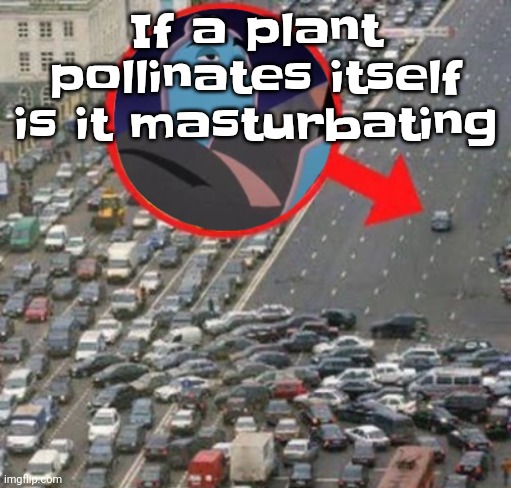 Idek why I'm asking ts | If a plant pollinates itself is it masturbating | image tagged in ozzydrive | made w/ Imgflip meme maker