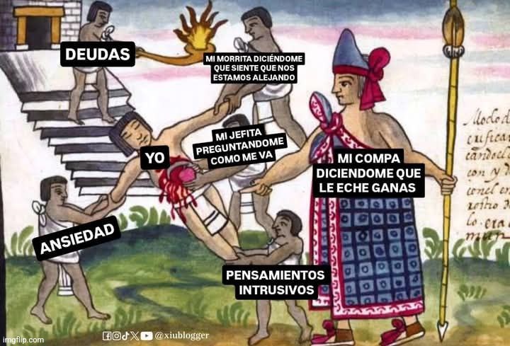 9nlm24.jpg