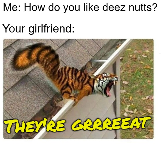 Me: How do you like deez nutts? Your girlfriend:; They're grrreeat | image tagged in funny,dirty joke | made w/ Imgflip meme maker