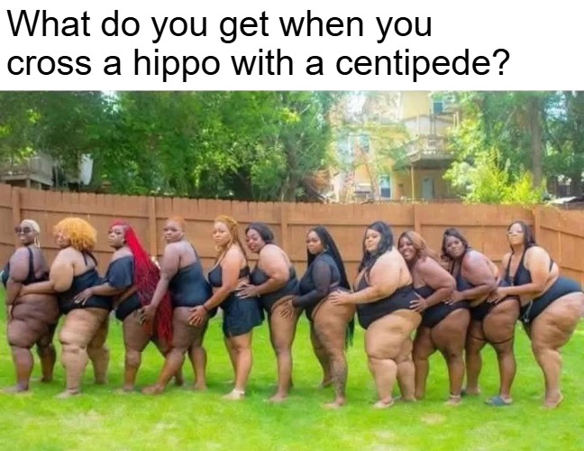 What do you get when you 
cross a hippo with a centipede? | image tagged in funny,funny memes | made w/ Imgflip meme maker