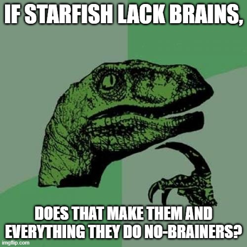 Is this why Patrick Star is dumb? | IF STARFISH LACK BRAINS, DOES THAT MAKE THEM AND EVERYTHING THEY DO NO-BRAINERS? | image tagged in memes,philosoraptor,starfish,brains,hmmm,patrick star | made w/ Imgflip meme maker