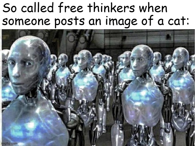 so called free thinkers | So called free thinkers when someone posts an image of a cat: | image tagged in so called free thinkers | made w/ Imgflip meme maker