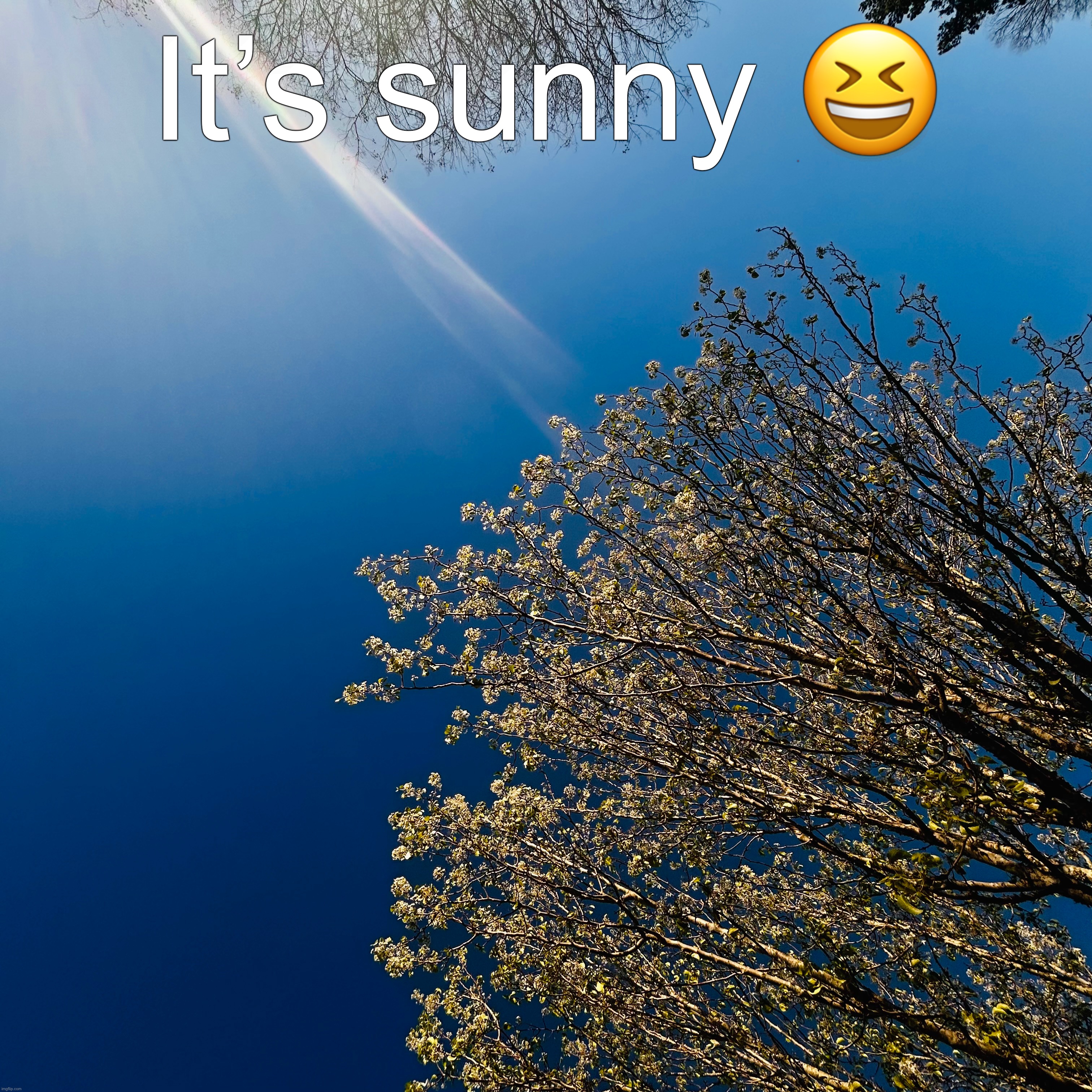 It’s sunny ? | made w/ Imgflip meme maker
