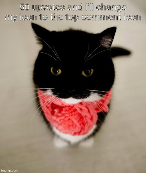 50 upvotes and I'll change my icon to the top comment icon | made w/ Imgflip meme maker
