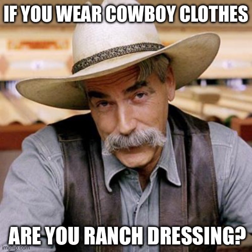 Cowboy | IF YOU WEAR COWBOY CLOTHES; ARE YOU RANCH DRESSING? | image tagged in sarcasm cowboy,cowboy,clothes,dad joke,bad pun | made w/ Imgflip meme maker