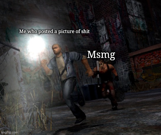 Being chased | Me who posted a picture of shit; Msmg | image tagged in being chased | made w/ Imgflip meme maker