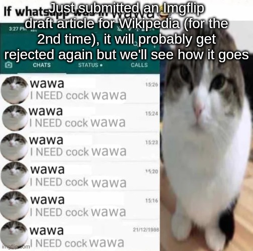 Just submitted an Imgflip draft article for Wikipedia (for the 2nd time), it will probably get rejected again but we'll see how it goes | made w/ Imgflip meme maker
