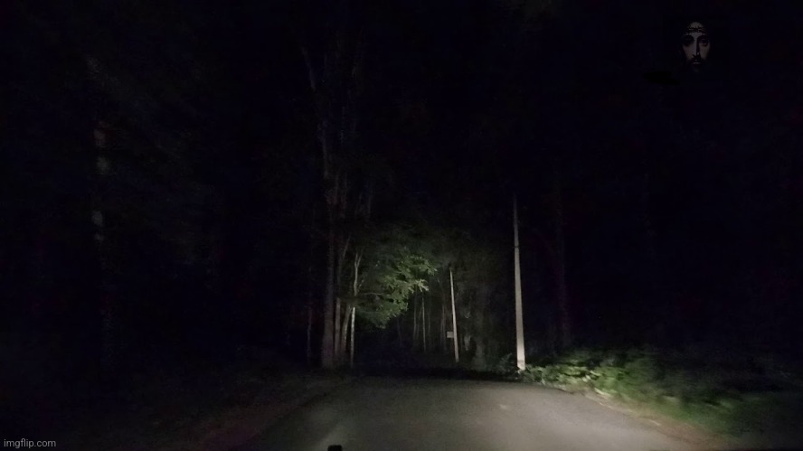 Creepy Forest | image tagged in creepy forest | made w/ Imgflip meme maker