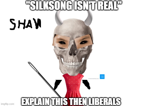 it is real | "SILKSONG ISN'T REAL"; EXPLAIN THIS THEN LIBERALS | image tagged in hollow knight | made w/ Imgflip meme maker