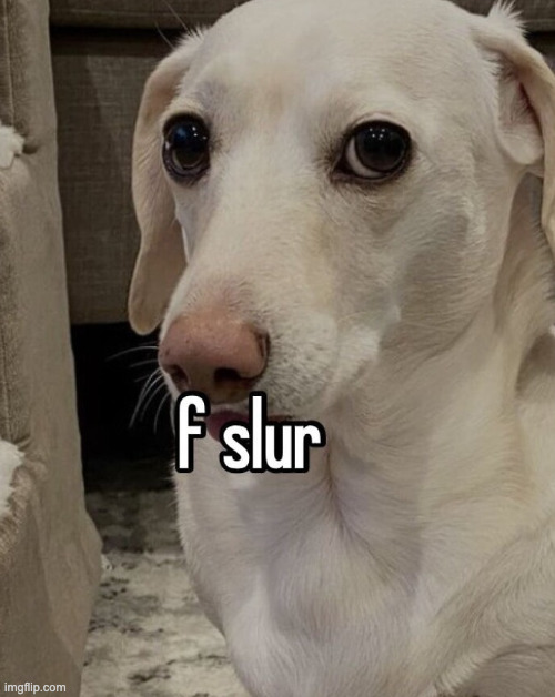 f slur | image tagged in f slur | made w/ Imgflip meme maker