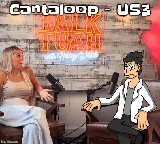 Hawk 002ah | Cantaloop - US3 | image tagged in hawk 002ah | made w/ Imgflip meme maker