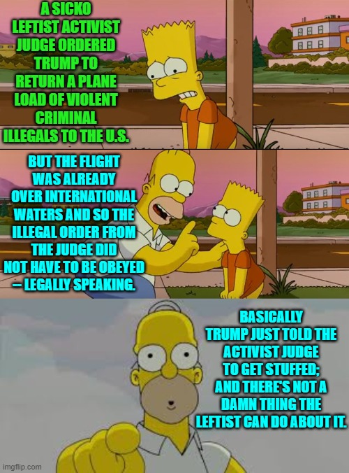 Your move leftists. | A SICKO LEFTIST ACTIVIST JUDGE ORDERED TRUMP TO RETURN A PLANE LOAD OF VIOLENT CRIMINAL ILLEGALS TO THE U.S. BUT THE FLIGHT WAS ALREADY OVER INTERNATIONAL WATERS AND SO THE ILLEGAL ORDER FROM THE JUDGE DID NOT HAVE TO BE OBEYED -- LEGALLY SPEAKING. BASICALLY TRUMP JUST TOLD THE ACTIVIST JUDGE TO GET STUFFED; AND THERE'S NOT A DAMN THING THE LEFTIST CAN DO ABOUT IT. | image tagged in simpsons so far | made w/ Imgflip meme maker