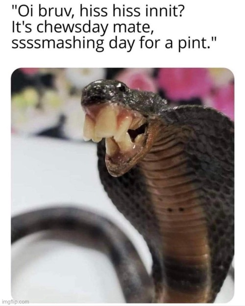 British snake | made w/ Imgflip meme maker