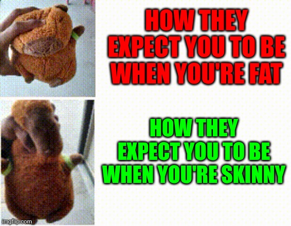 How They Expect You To Be When You're Fat vs Skinny | HOW THEY EXPECT YOU TO BE WHEN YOU'RE FAT; HOW THEY EXPECT YOU TO BE WHEN YOU'RE SKINNY | image tagged in comparison | made w/ Imgflip meme maker