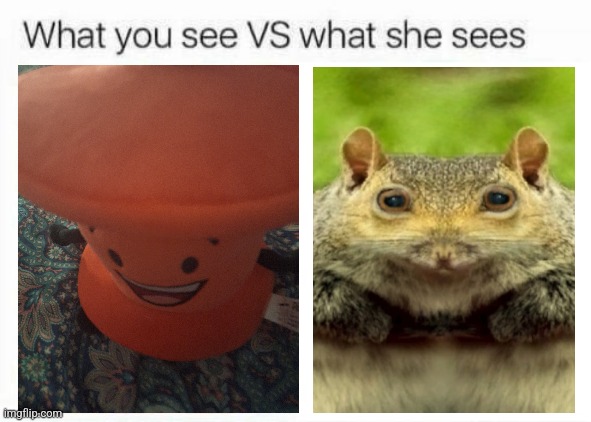 What you see vs what she sees | image tagged in what you see vs what she sees | made w/ Imgflip meme maker