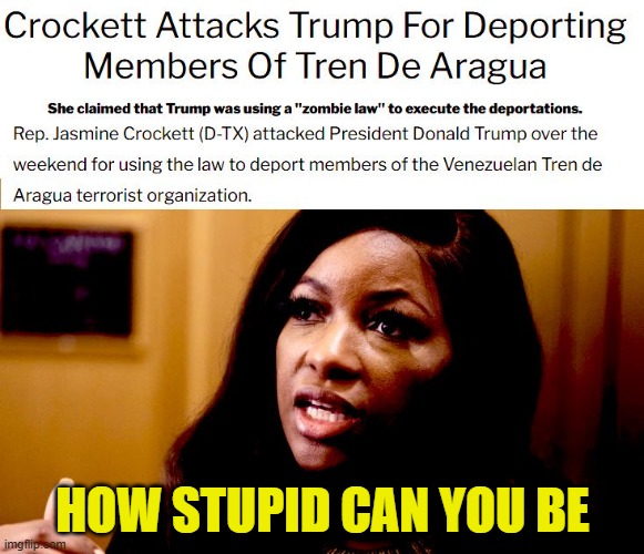 To Democrats it is a campaign slogan not a figure of speech! | HOW STUPID CAN YOU BE | image tagged in democrats,stupid,maga,terrorists,deportation,judge | made w/ Imgflip meme maker