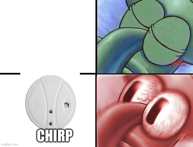 sleeping Squidward | CHIRP | image tagged in sleeping squidward | made w/ Imgflip meme maker