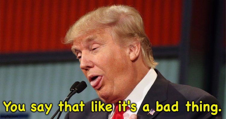 Trump stupid face mocking reporter | You say that like it's a bad thing. | image tagged in trump stupid face mocking reporter | made w/ Imgflip meme maker