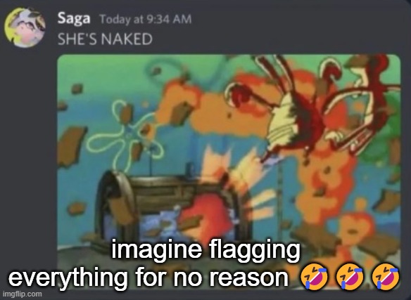 she's | imagine flagging everything for no reason 🤣🤣🤣 | image tagged in she's | made w/ Imgflip meme maker