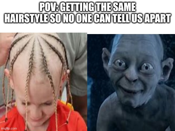 ? | POV: GETTING THE SAME HAIRSTYLE SO NO ONE CAN TELL US APART; 💀 | image tagged in my precious gollum | made w/ Imgflip meme maker