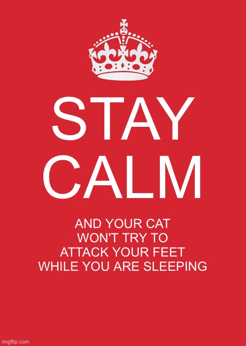 Keep Calm And Carry On Red | STAY CALM; AND YOUR CAT WON'T TRY TO ATTACK YOUR FEET WHILE YOU ARE SLEEPING | image tagged in memes,keep calm and carry on red | made w/ Imgflip meme maker