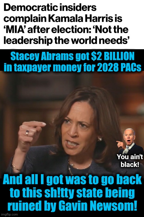 Duh!  She was NEVER a leader! | Stacey Abrams got $2 BILLION
in taxpayer money for 2028 PACs; You ain't
black! And all I got was to go back
to this sh!tty state being
ruined by Gavin Newsom! | image tagged in kamala yelling angry,memes,democrats,leadership,diversity hyena,incompetence | made w/ Imgflip meme maker