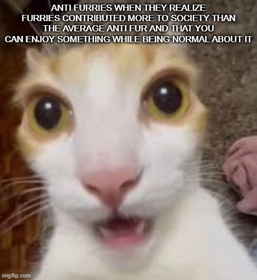 funny cat | ANTI FURRIES WHEN THEY REALIZE FURRIES CONTRIBUTED MORE TO SOCIETY THAN THE AVERAGE ANTI FUR AND THAT YOU CAN ENJOY SOMETHING WHILE BEING NORMAL ABOUT IT | image tagged in shocked cat | made w/ Imgflip meme maker