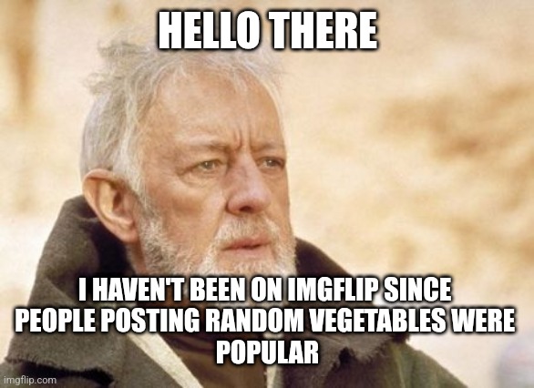 it's been a long, long time | HELLO THERE; I HAVEN'T BEEN ON IMGFLIP SINCE 
PEOPLE POSTING RANDOM VEGETABLES WERE 
POPULAR | image tagged in memes,obi wan kenobi | made w/ Imgflip meme maker