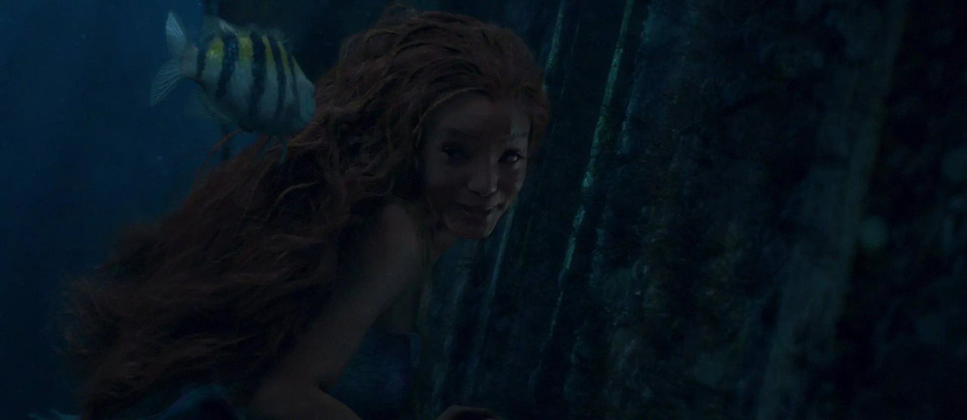 halle peaking Blank Meme Template