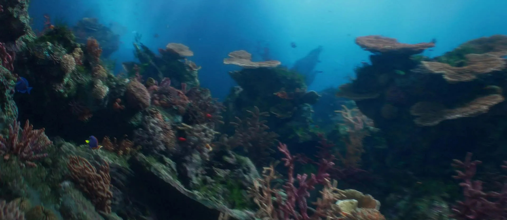 underwater land Blank Meme Template