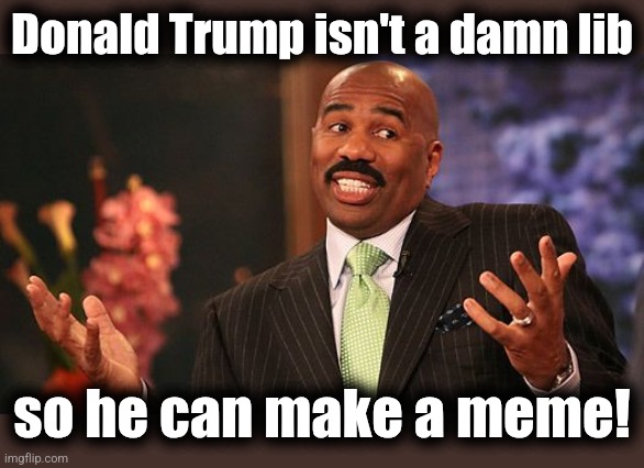 shrug | Donald Trump isn't a damn lib so he can make a meme! | image tagged in shrug | made w/ Imgflip meme maker