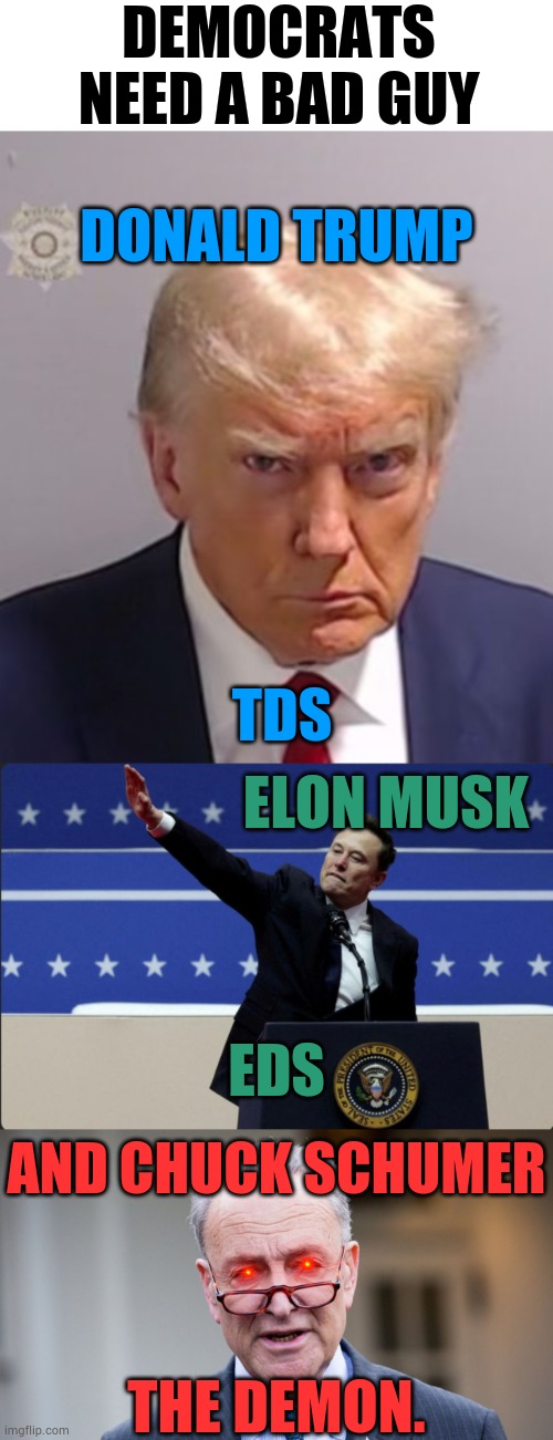 Why Oh Why Do... | DEMOCRATS NEED A BAD GUY; DONALD TRUMP; TDS; ELON MUSK; EDS; AND CHUCK SCHUMER; THE DEMON. | image tagged in donald trump mugshot,elon musk sieg heil,chuck schumer,and now i'm the bad guy,politics,memes | made w/ Imgflip meme maker