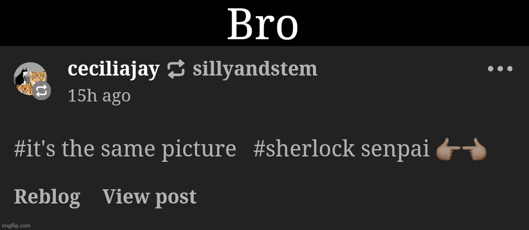 Bro | made w/ Imgflip meme maker