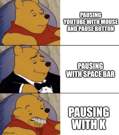 Pausing yt be like | PAUSING YOUTUBE WITH MOUSE AND PAUSE BUTTON; PAUSING WITH SPACE BAR; PAUSING WITH K | image tagged in whinnie the poo normal fancy gross | made w/ Imgflip meme maker