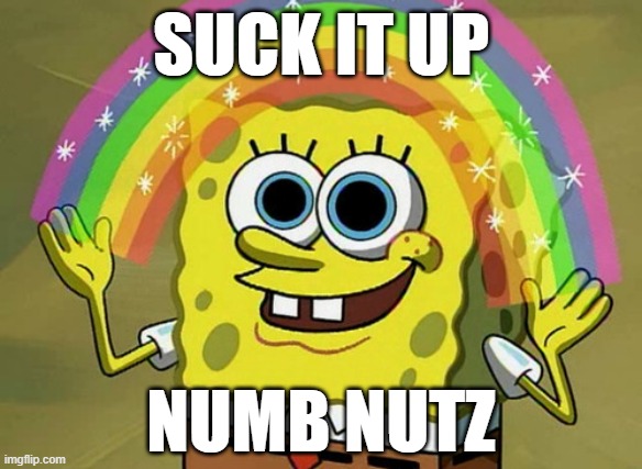 Imagination Spongebob | SUCK IT UP; NUMB NUTZ | image tagged in memes,imagination spongebob,change my mind,two buttons,cartoon network,two paths | made w/ Imgflip meme maker