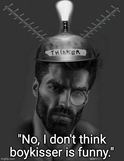 Thinker | "No, I don't think boykisser is funny." | image tagged in thinker | made w/ Imgflip meme maker