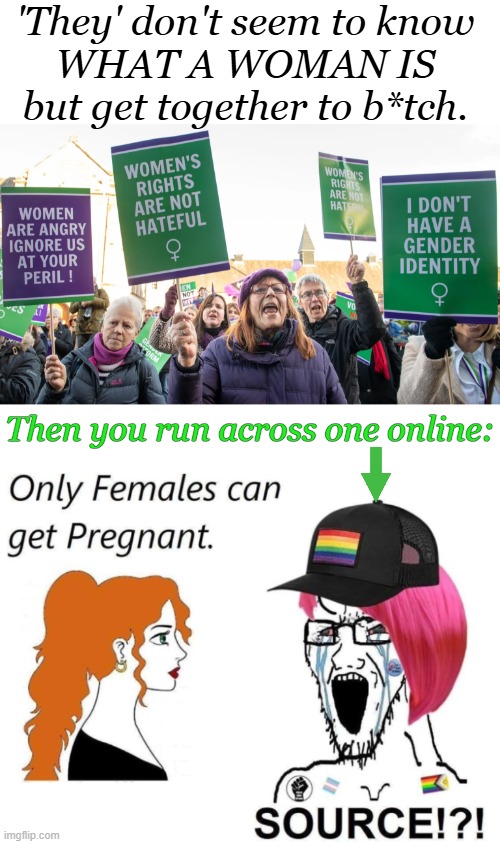 At least their cats love them... | 'They' don't seem to know 
WHAT A WOMAN IS 
but get together to b*tch. Then you run across one online: | image tagged in women,women's march,women's rights,angry women,what is wrong with you,political humor | made w/ Imgflip meme maker