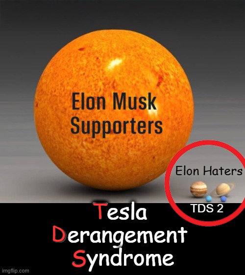 And then they hated Elon | Elon Haters; Tesla 
Derangement 
Syndrome; T; TDS 2; D; S | image tagged in elon musk,tds,trump,tesla,tds2,political humor | made w/ Imgflip meme maker