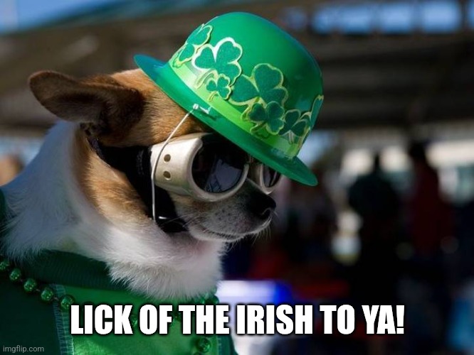 St Patrick Day Dog | LICK OF THE IRISH TO YA! | image tagged in st patrick day | made w/ Imgflip meme maker