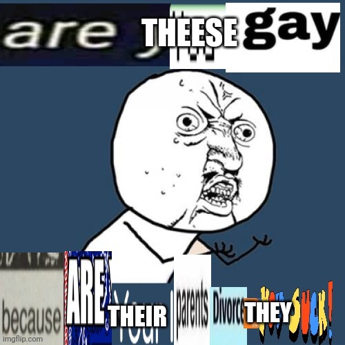 Are you gay? | THEESE THEIR THEY | image tagged in are you gay | made w/ Imgflip meme maker