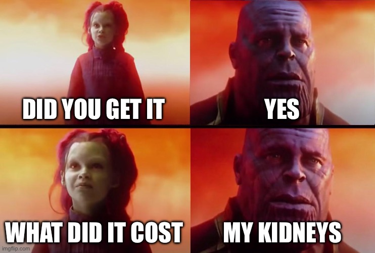 thanos what did it cost | DID YOU GET IT YES WHAT DID IT COST MY KIDNEYS | image tagged in thanos what did it cost | made w/ Imgflip meme maker