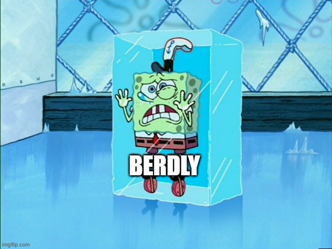 Spongebob icecube | BERDLY | image tagged in spongebob icecube | made w/ Imgflip meme maker