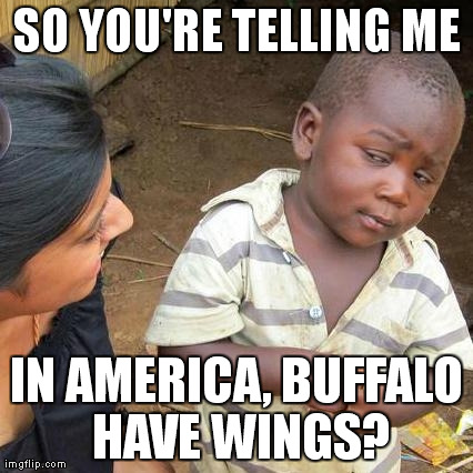 When I was little, I often wondered how people made buffalo wings. | SO YOU'RE TELLING ME IN AMERICA, BUFFALO HAVE WINGS? | image tagged in memes,third world skeptical kid | made w/ Imgflip meme maker