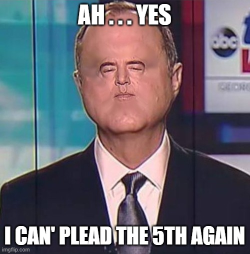 Adam Schiff | AH . . . YES I CAN' PLEAD THE 5TH AGAIN | image tagged in adam schiff | made w/ Imgflip meme maker