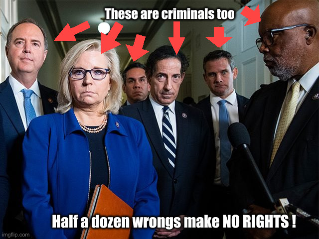 These A-Holes Should Be Waiting For THEIR Pardons | These are criminals too; Half a dozen wrongs make NO RIGHTS ! | image tagged in j6 committee,politics,political meme,funny memes,funny | made w/ Imgflip meme maker