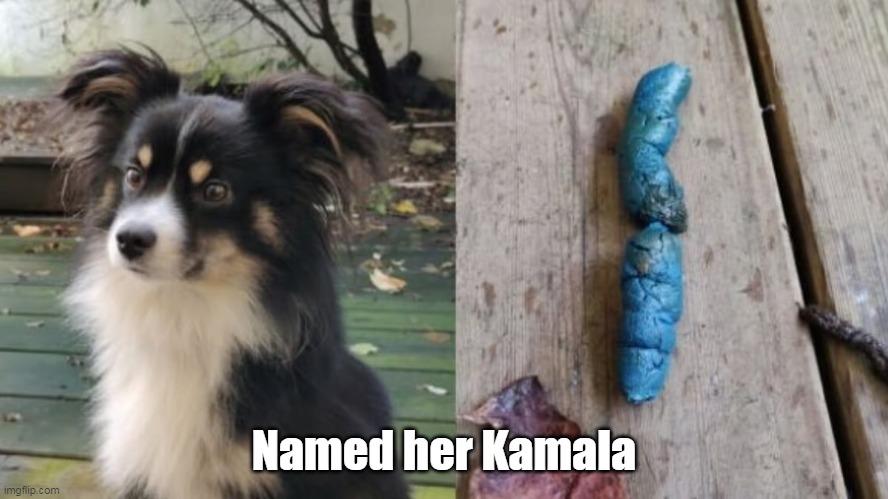 Named her Kamala | made w/ Imgflip meme maker