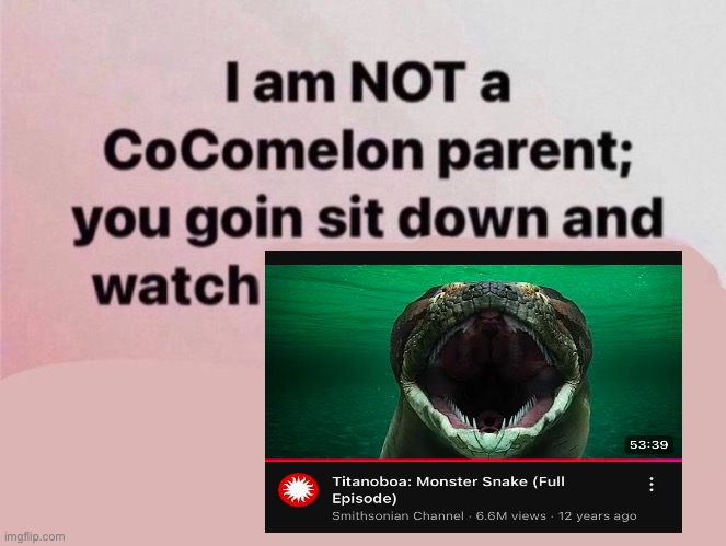 I am NOT a CoComelon parent; you goin sit down and watch | image tagged in i am not a cocomelon parent you goin sit down and watch,memes,animals,lol,shitpost,funny | made w/ Imgflip meme maker