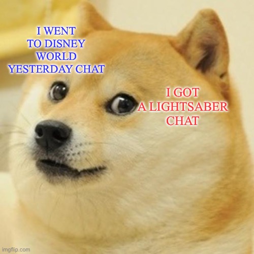 Doge Meme | I WENT TO DISNEY WORLD YESTERDAY CHAT; I GOT A LIGHTSABER CHAT | image tagged in memes,doge | made w/ Imgflip meme maker