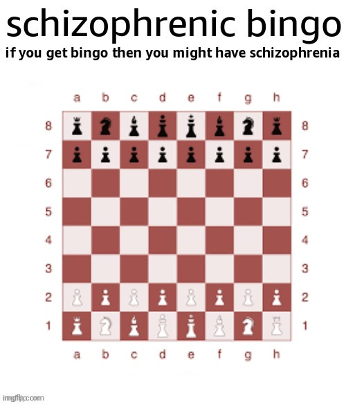 schizophrenic bingo | image tagged in schizophrenic bingo | made w/ Imgflip meme maker